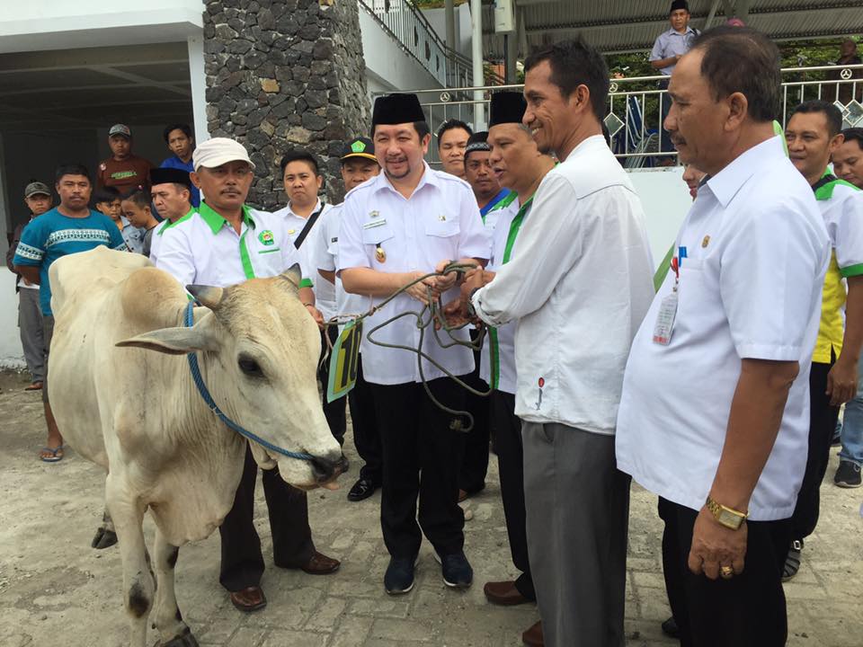 Rayakan Hari Raya Idul Adha, Pemkot Manado Serahkan Hewan Qurban Bagi 11 Masjid