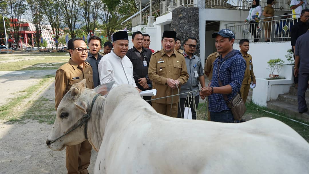 Wakil Walikota Menyerahkan Hewan Kurban 11 Kecamatan di Kota Manado