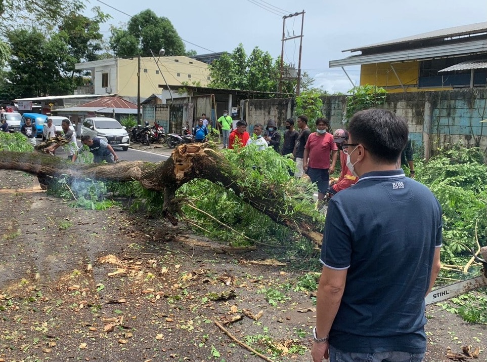 Walikota Cek Penebangan Pohon dan Perbaikan Drainase serta Gorong-Gorong