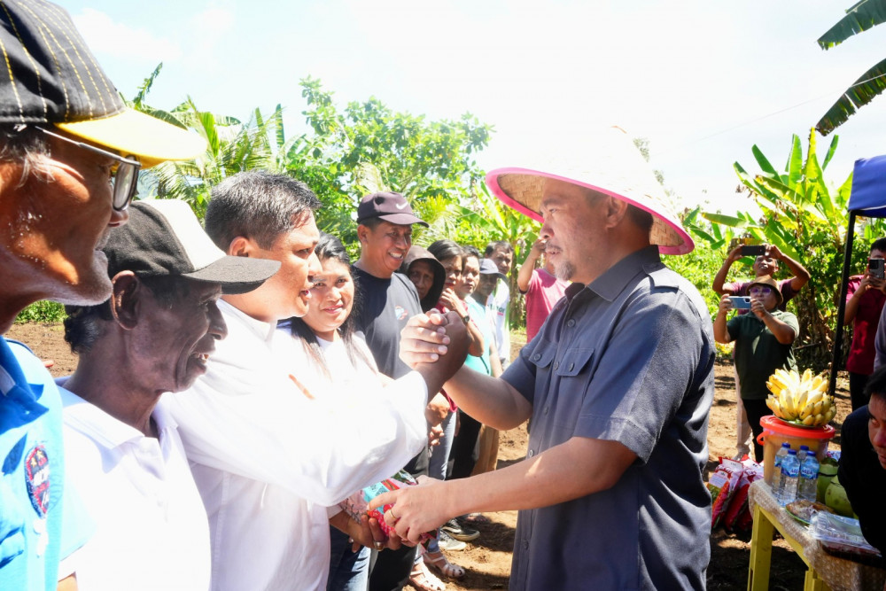 Pemkot Manado Perkuat Dukungan untuk Sektor Pertanian, Wakil Wali Kota Manado mewakili Wali Kota Manado Hadiri Kegiatan Penyerahan Bantuan Benih Sekaligus Penanaman Jagung bersama Kelompok Tani Molas