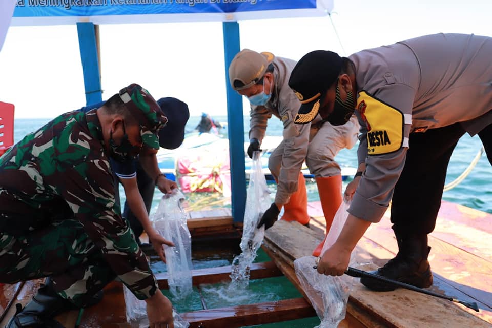 Walikota Launching budidaya ikan air laut binaaan Pemkot Manado