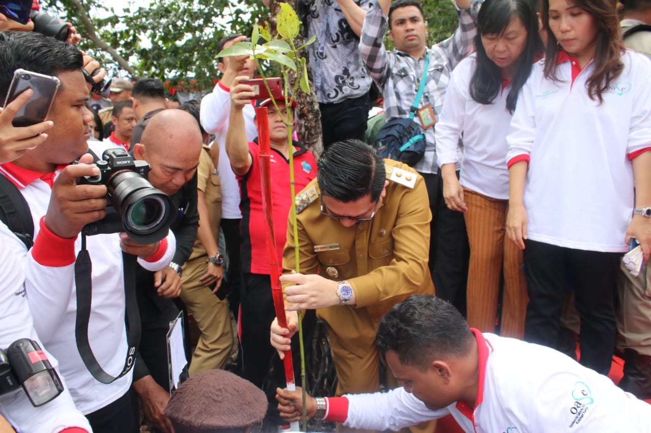 Wawali Bersama TP PKK Hadiri Penanaman Serentak Mangrove Di 12 Provinsi